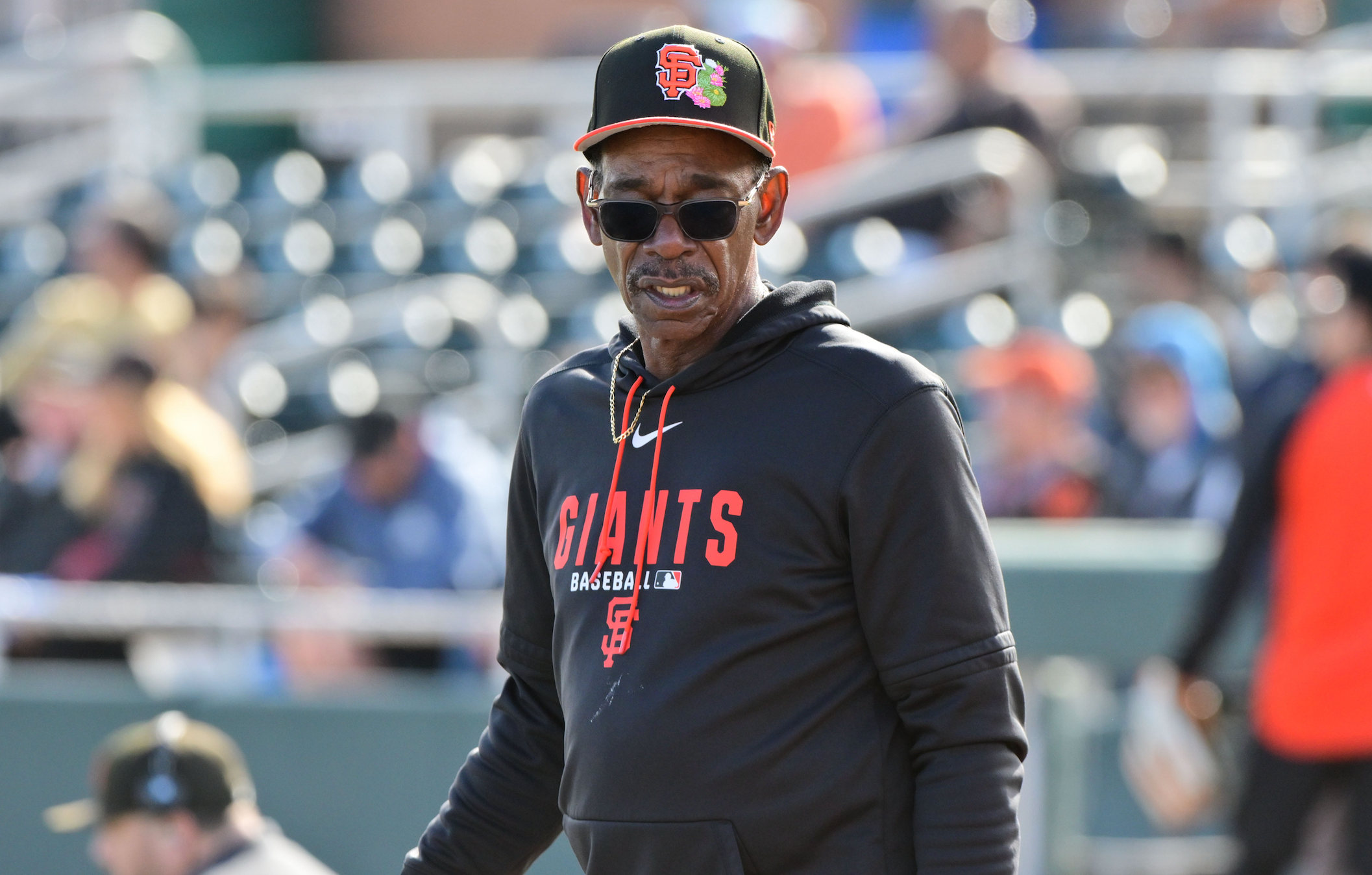 Tennessee Vols baseball